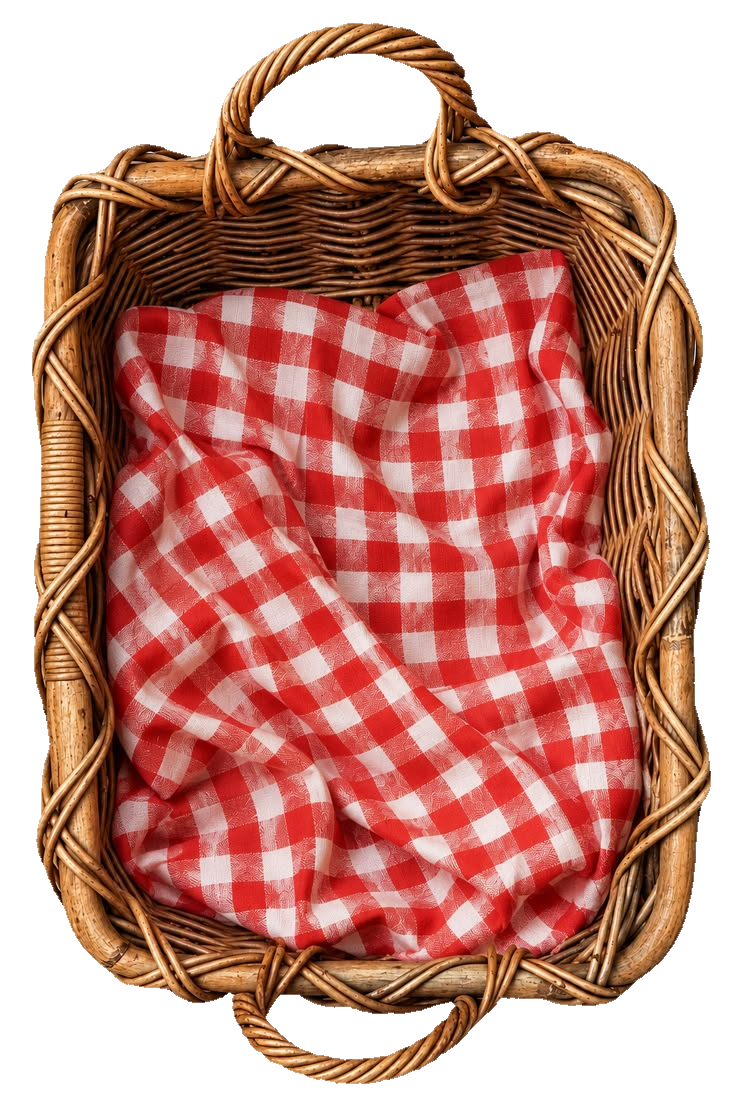 Basket with Picnic Blanket