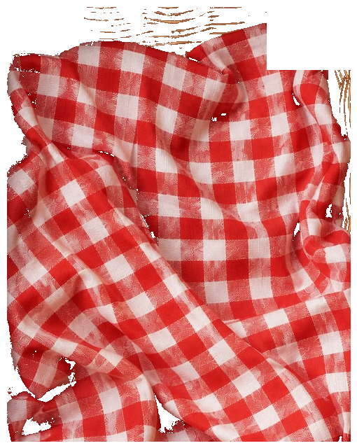 Picnic Blanket Cloth
